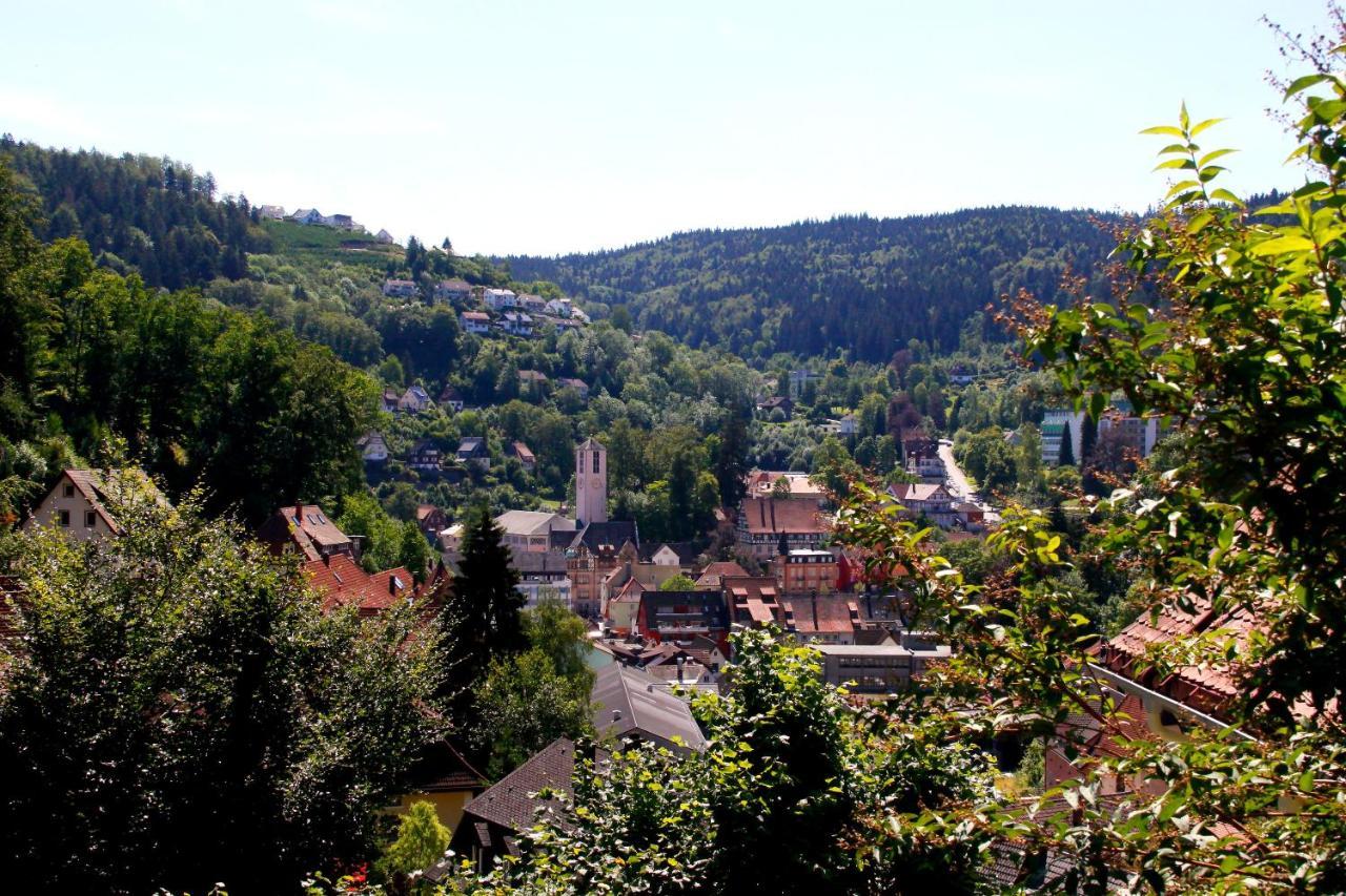 Hotel Cafe Adler 24H Self Check In Triberg im Schwarzwald Dış mekan fotoğraf
